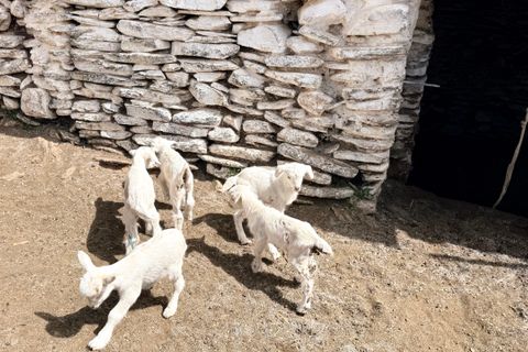 Finca i Tices, Almeria, Tices - € 8.000.000 | Ref: GVCFNSC - foto 22